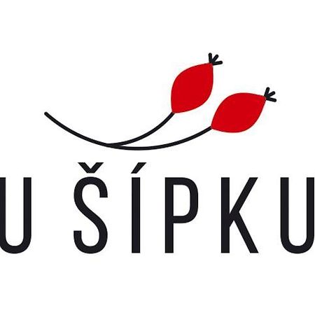 Hotel Dum U Sipku Krásná Lípa Esterno foto
