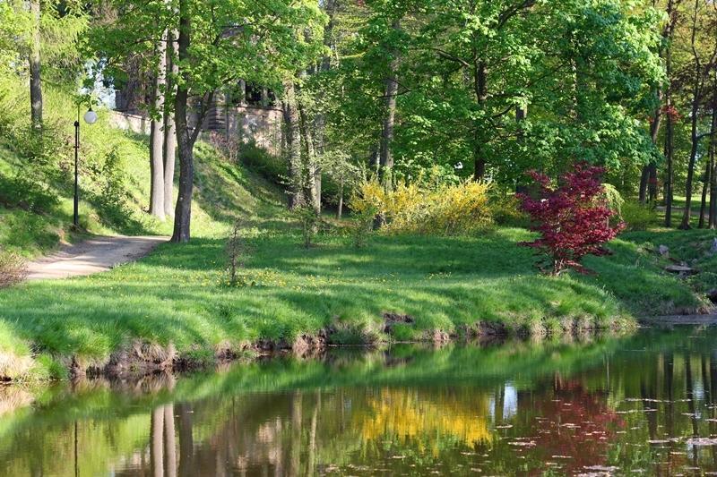Hotel Dum U Sipku Krásná Lípa Esterno foto