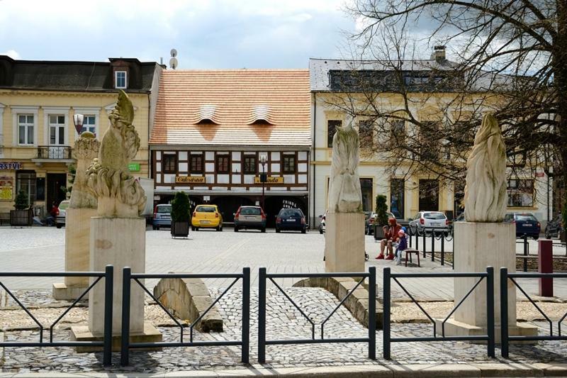 Hotel Dum U Sipku Krásná Lípa Esterno foto